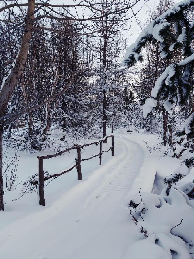 Bakkakot 2 - Cozy Cabins In The Woods Акурейрі Екстер'єр фото